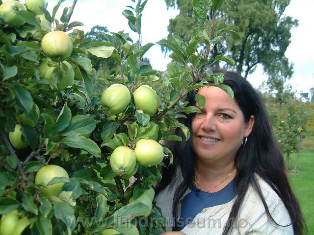 Kunstutstilling med Wenche Pedersen